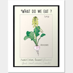 Turnip Kitchen poster what do we eat Posters and Art